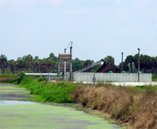 bioremediation , pond problems algae in ponds