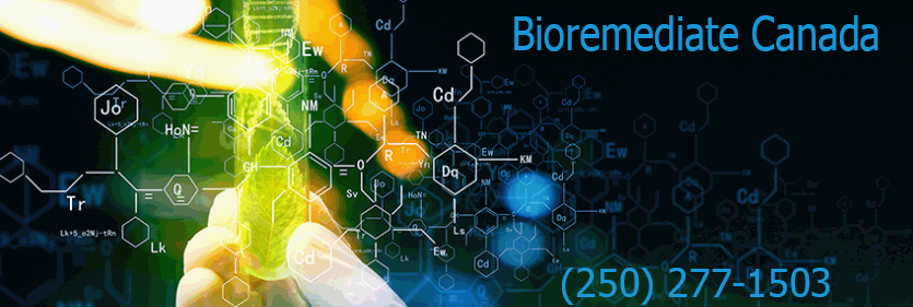 bioremediation in ponds, wastewater, hydrocarbons and oil spills