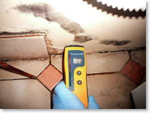 moisture reading of wall cavities are a standard part of the mould inspection