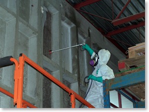 industrial mould inspections and mould removal