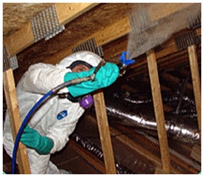 mould remediation