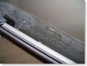 mould behind baseboard heater