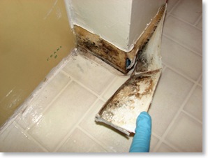 mould behind baseboard