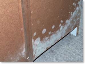 Aspergillus sp. on a dresser. Mould was the result of high realative humidity.