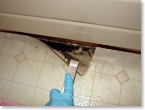 toxic mould under vinyl flooring