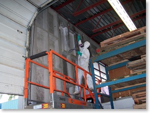 industrial remediation mould removal