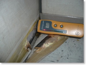 high moisture reading is an indicator of hidden mould