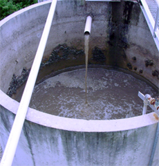 bioremediation of effluennt, grease traps, fats, oils, grease