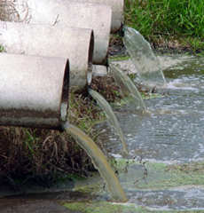 wastewater treatment , microbes for bioremediation