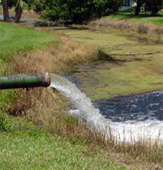 clacareous seeweed, alkalinity, calcium buffer for ponds, wastewater treatment and aquaculture