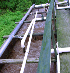 wastewater systems, pump and treat, nitrifiers, nitrifing bacteria, activated sludge