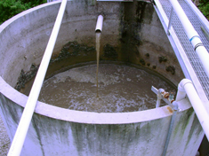 wastewater treatment, bioremediation in wastewater facitities